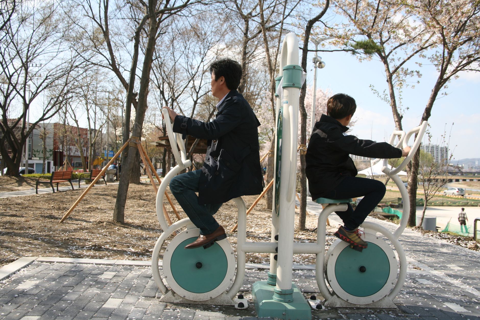 내장지방 운동, 매일 30분씩 1년 해도 안 빠지는 이유