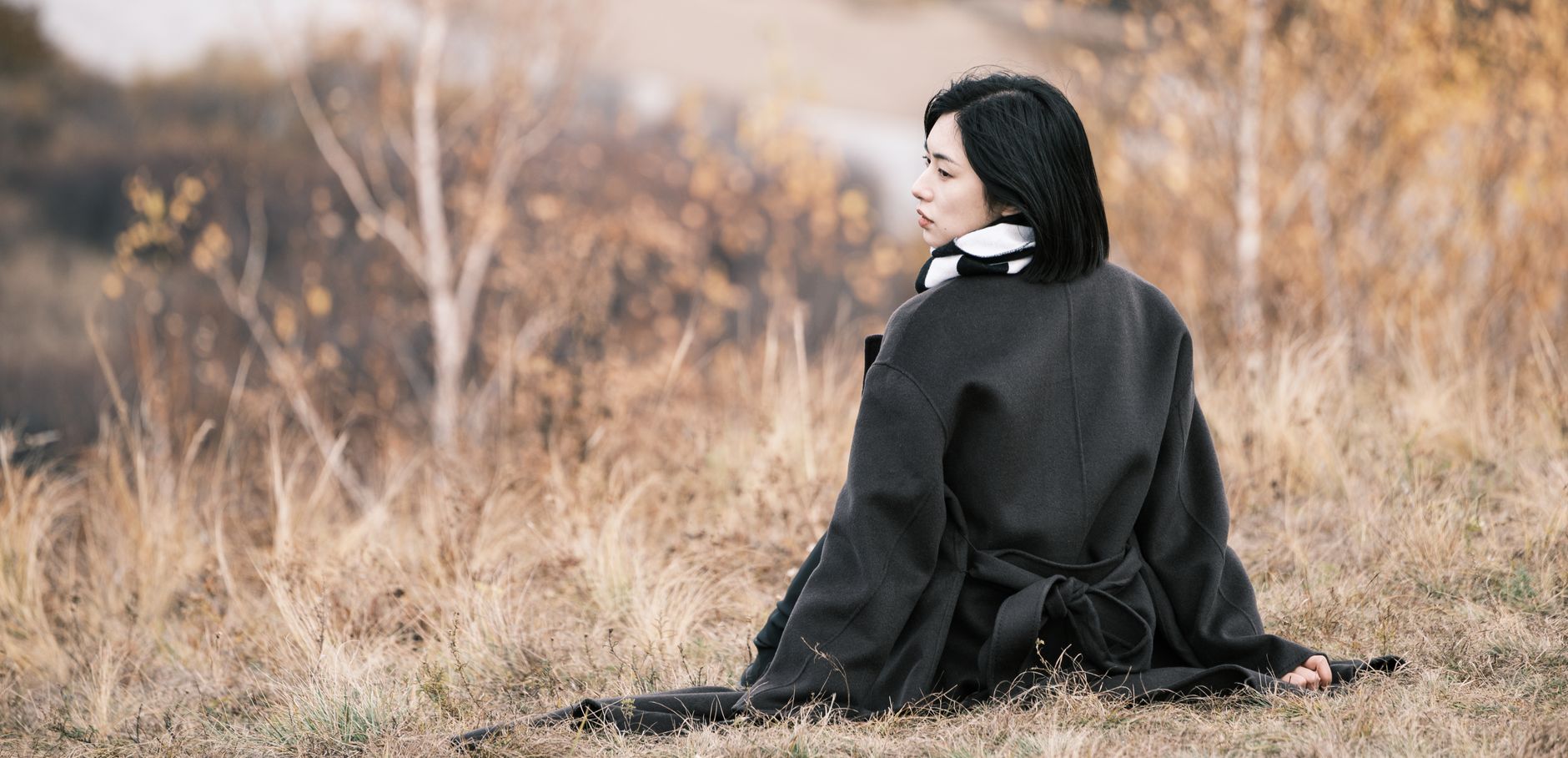 갱년기 홍삼 효능, 어떤 성분이 정말 작용할까